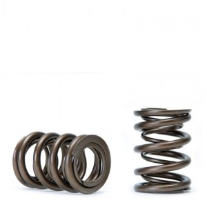 Honda Civic Valve Springs - Skunk2 Racing - Alpha Series Dual Springs - `99-`00